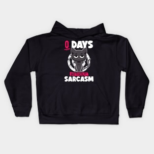 0 Days Without Sarcasm Cat Irony and Sarcasm Funny Cat Joke Kids Hoodie